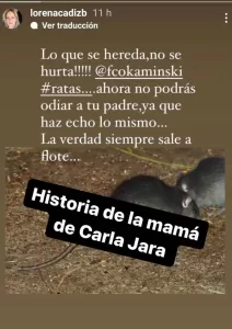 Mamá de Carla Jara postea en su historia de Instagram ácido mensaje a Francisco Kaminski.
